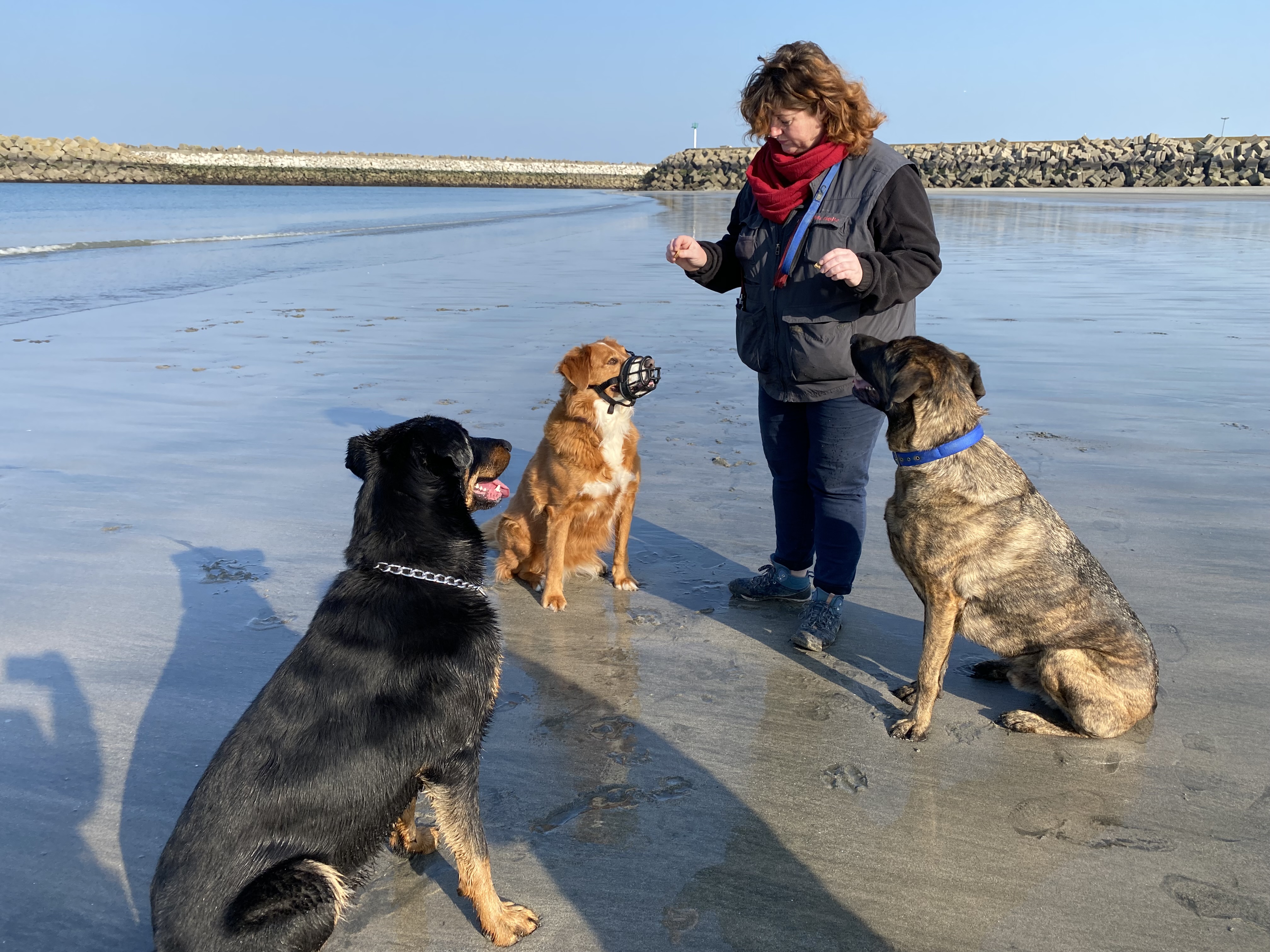 Murielle, educatrice canin dans en seine maritime